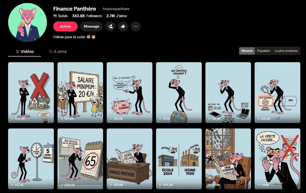TikTok Profile Finance Panthere